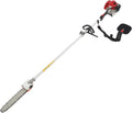 Scie à chaîne télescopique à essence 43 cc - Extensible de 2,4 à 3,5 m pour jardins et parcs