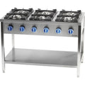 Cuisinière à gaz professionnelle, 6 brûleurs puissants, dimensions 1200 x 700 x 850 mm