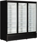 Congélateur Vertical Tefcold Atom Maxi F3DB - Vitrine Professionnelle